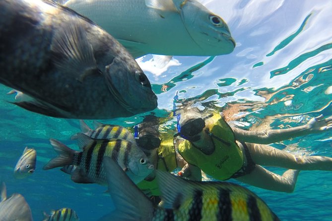 ATV Mud Kicking and Snorkeling by Boat in Cozumel - Timing problems and the tequila stop