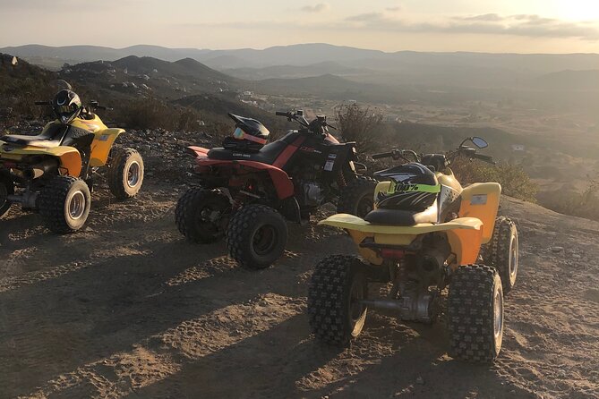 ATV Off-Road Adventure through Valle de Guadalupe + Winery Visit - What happens at the winery stop