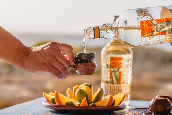 ATV Tour, Camel Ride, Tequila Tasting and Mexican Buffet Lunch - Key points to know before booking