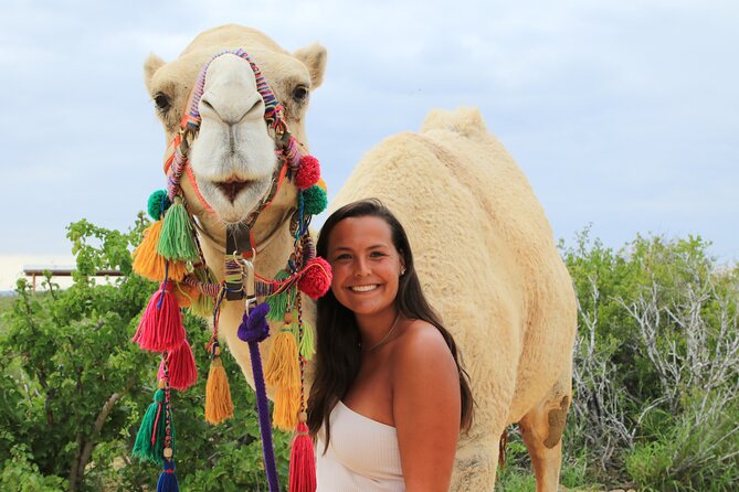 ATV Tour, Camel Ride, Tequila Tasting and Mexican Buffet Lunch - Two Cabo adventures at Tierra Sagrada