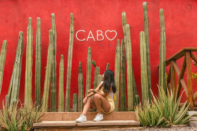 ATV Tour, Camel Ride, Tequila Tasting and Mexican Buffet Lunch - Pickup, timing, and what to bring