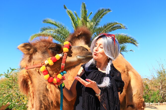 ATV Tour, Camel Ride, Tequila Tasting and Mexican Buffet Lunch - Who will enjoy this outing most