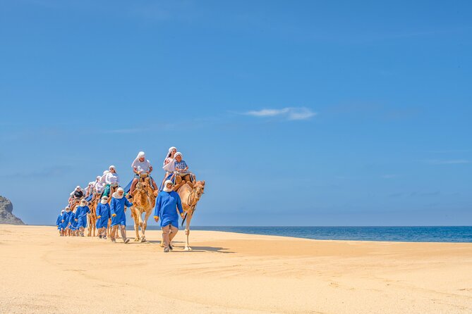 ATV Tour, Camel Ride, Tequila Tasting and Mexican Buffet Lunch - Should you book the ATV and camel combination?