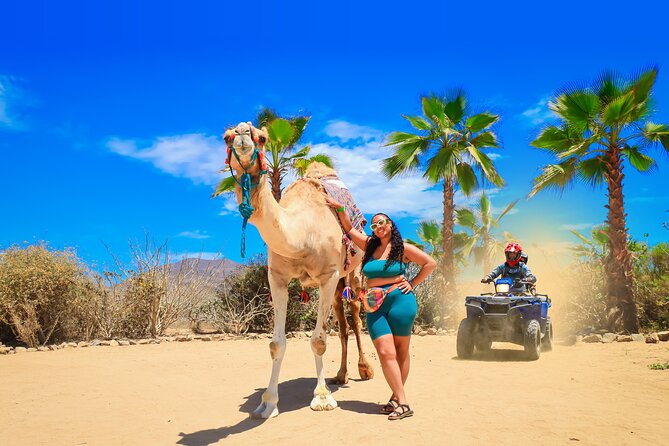 ATV Tour, Camel Ride, Tequila Tasting and Mexican Buffet Lunch - The ATV ride through cactus and canyon country