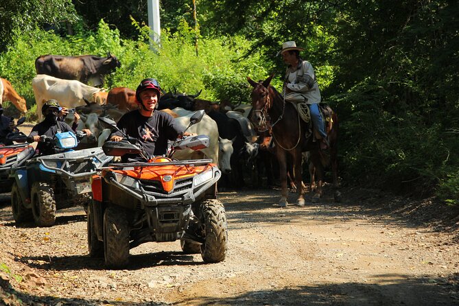 ATV Tour Rio Cuale Sierra Madre Mountains and tequila tasting - Price, timing, and who gets good value