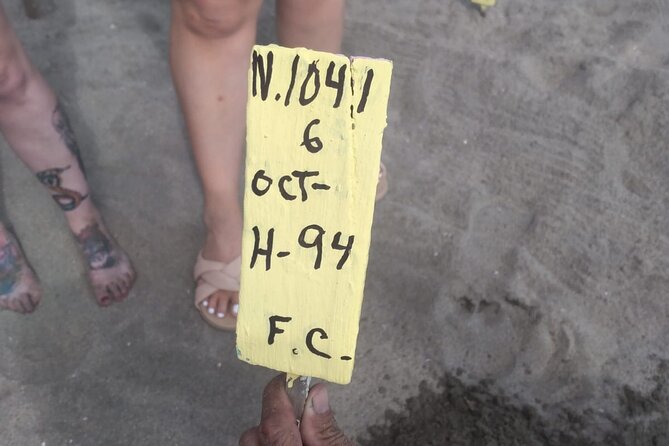 Baby Sea Turtle Releasing Sightseeing Tour with Luis de la Maza - Arriving in rural Juluchuca