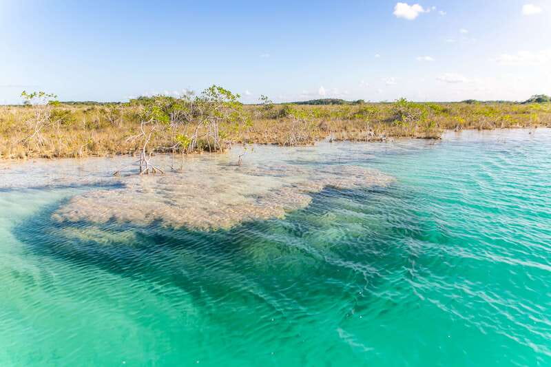 Bacalar: 3 Hour Boat Trip with Swimming & Drinks - The kayaking add-on changes the value