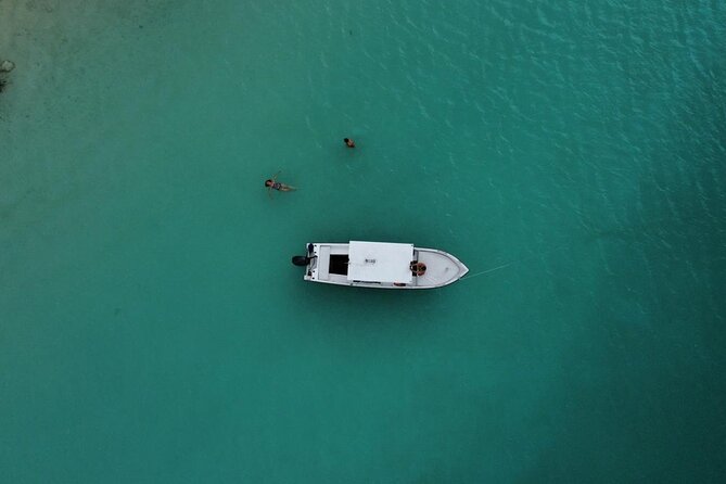 Bacalar Boat Tour and Visit to Cenotes - How the Guides Shape the Experience
