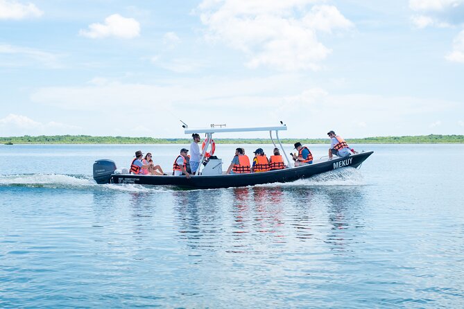 Bacalar Boat Tour and Visit to Cenotes - Price, Group Size, and What You Actually Get
