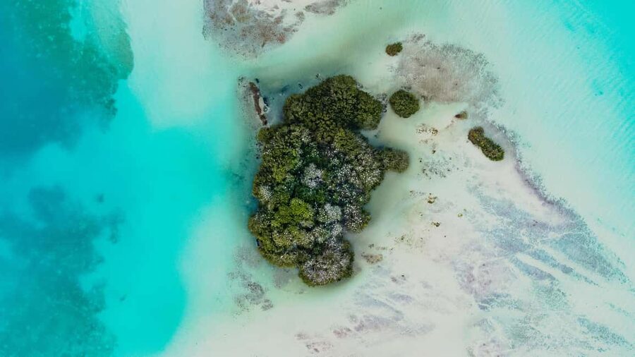 Bacalar Lagoon Sailing Tour with Open Bar and Mexican Lunch - Timing, Weather, and Comfort on the Boat