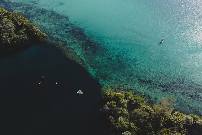 Bacalar Lagoon Sightseeing Boat Tour with Open Bar and Snacks - Cocalitos and the story of stromatolites