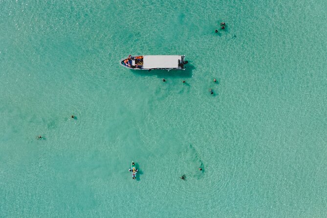 Bacalar Lagoon Sightseeing Boat Tour with Open Bar and Snacks - The dark water of Black Cenote