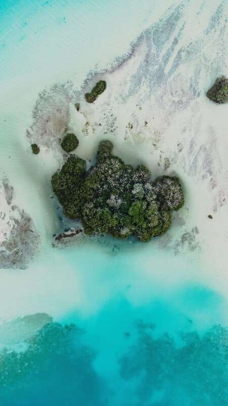Bacalar Lagoon Sightseeing Boat Tour with Open Bar & Snack - Cocalitos and the lagoon’s living side
