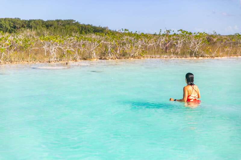 Bacalar: Private Sailboat Tour with Lagoon Swimming - Isla de los Pájaros and the wildlife stop