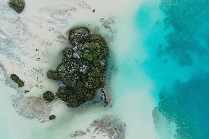 Bacalar Sunrise Stand Up Paddleboard Tour with Breakfast & Photos - What the $33.86 price really includes