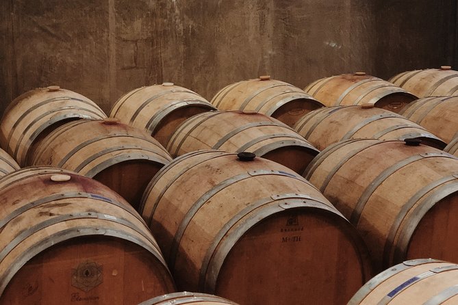 Baja Tour Guide wine tour - From Tijuana to the Mexican wine country