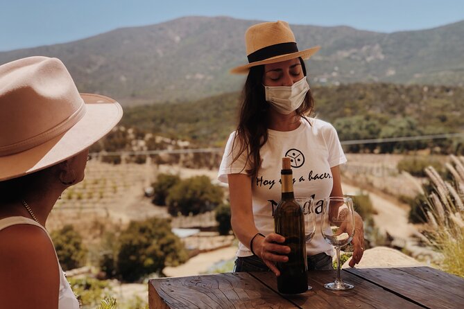 Baja Tour Guide wine tour - Who will get the most from this tour