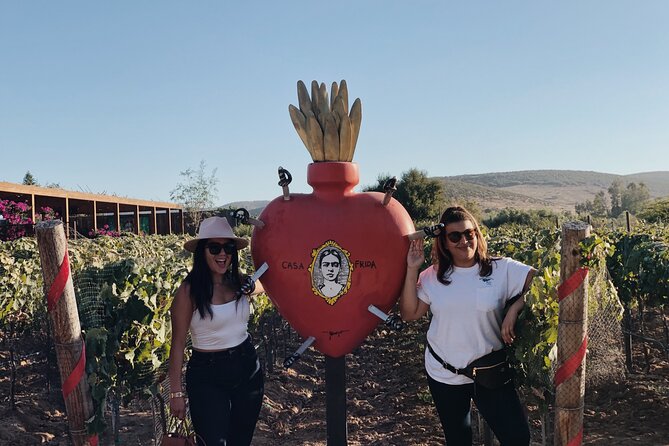 Baja Tour Guide wine tour - Six hours among wine, cheese, and country views
