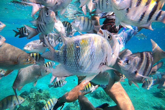 Bavarian Fiesta Snorkel Activity in Glass Bottom Boat at San Miguel de Cozumel - Food and drinks after the water