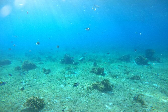 Bavarian Fiesta Snorkel Activity in Glass Bottom Boat at San Miguel de Cozumel - What the glass-bottom boat is really like
