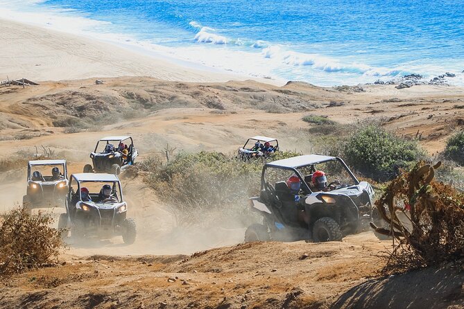 Beach and Desert UTV Tour in Cabo - Is $110 a fair price for this Cabo UTV tour?