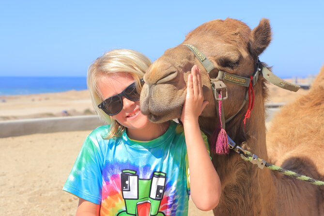 Beach Camel Ride and Encounter in Cabo - Key points to know before you book