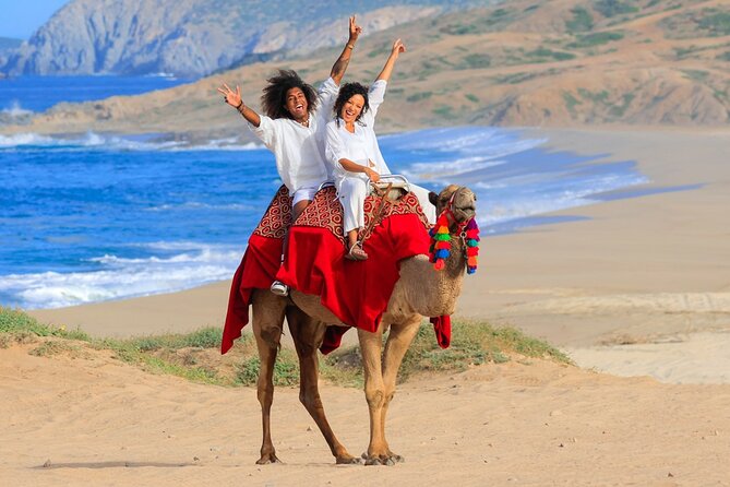 Beach Camel Ride and Encounter in Cabo - Riding a camel with the Pacific beside you