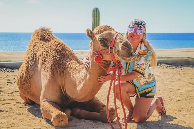 Beach Camel Ride and Encounter in Cabo - Food, drinks, and tequila tasting