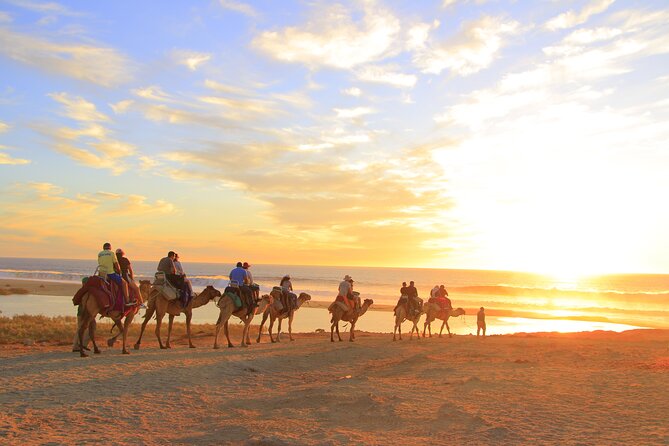 Beach Camel Ride and Encounter in Cabo - The real cost: $71.25 plus the park fee