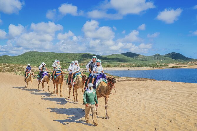 Beach Camel Ride and Encounter in Cabo - Animal care and comfort