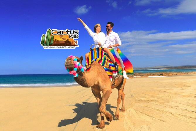 Beach Camel Ride and Encounter in Cabo - What happens at Cactus Tours