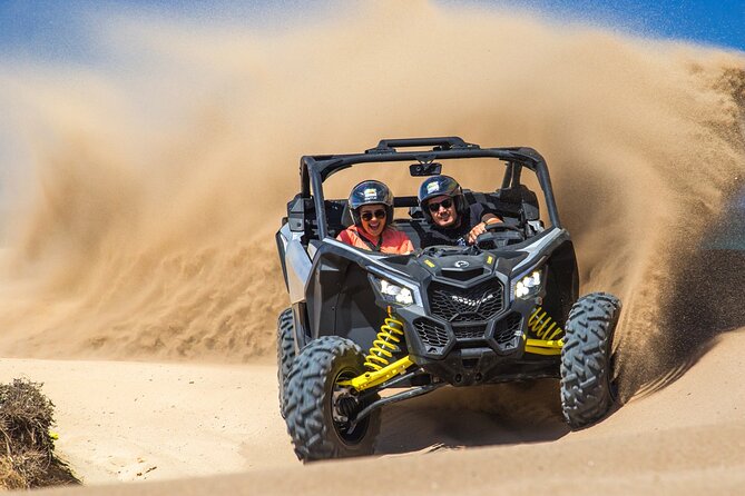 Beach Camel Ride and Sky Bike in Cabo - A camel ride where the desert meets the Pacific