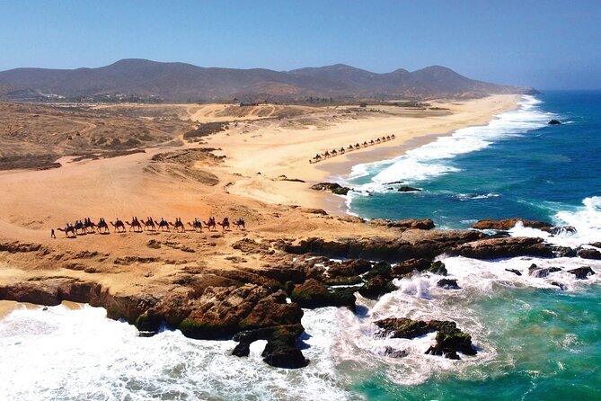 Beach CAN-AM SXS X3 and Camel Ride in Cabo - Lunch, drinks, and tequila help explain the price