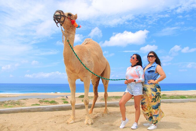 Beach CAN-AM SXS X3 and Camel Ride in Cabo - Who will get the most from this Cabo experience