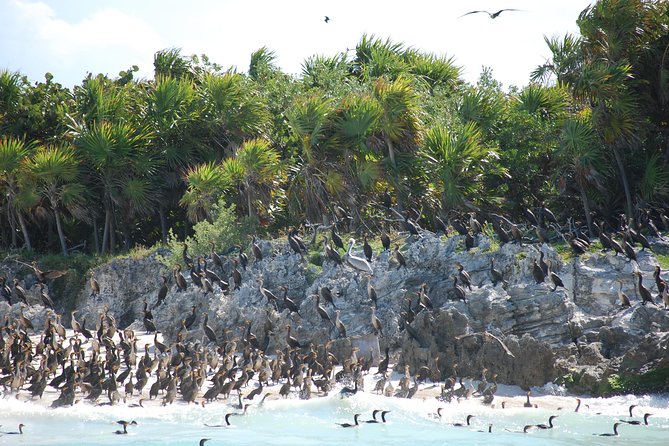 Beach Escape: Isla Contoy and Isla Mujeres with Snorkeling. - Snorkeling near Isla Contoy