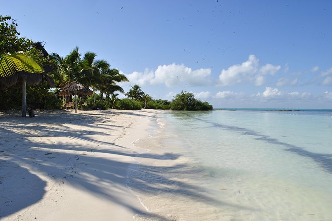 Beach Escape: Isla Contoy and Isla Mujeres with Snorkeling. - The early pickup from Playa del Carmen and Riviera Maya