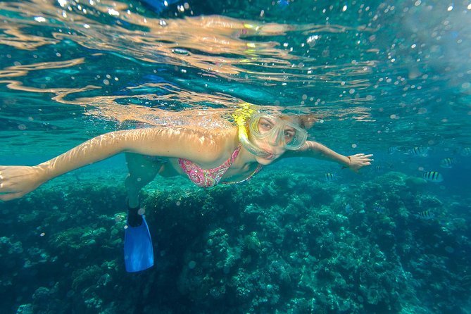 Beach Hopper Small-Group Snorkeling Tour in Los Cabos - Chileno Bay and Santa Maria Bay