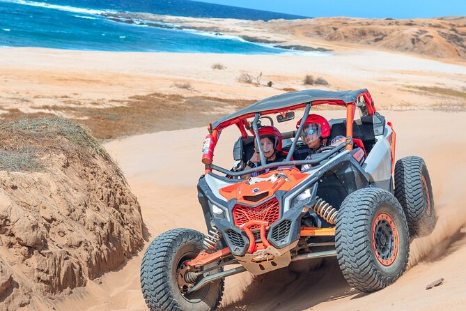 Beach UTV and Camel Ride Combo in Cabo - Who gets the most value from this outing?