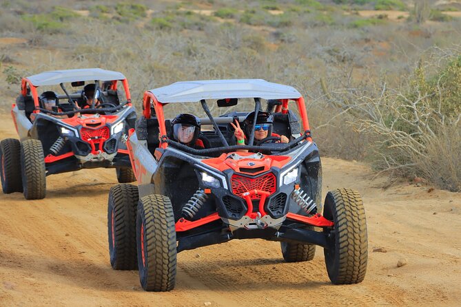 Beach UTV and Camel Ride Combo in Cabo - Should you book the Cabo UTV and camel combo?