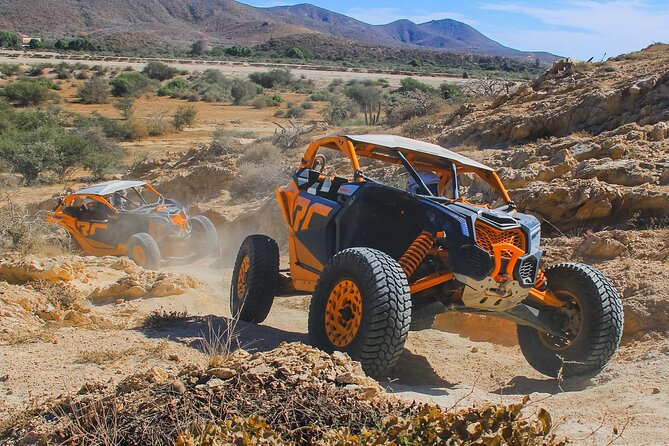 Beach UTV and Camel Ride Combo in Cabo - Meet the camels beside the Pacific