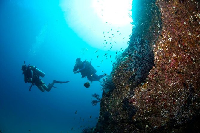 Beginner Scuba Diving in Cabo San Lucas - Meeting at Manta Scuba Diving in the Cabo marina