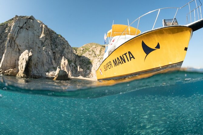 Beginner Scuba Diving in Cabo San Lucas - The Arch of Cabo San Lucas from the water