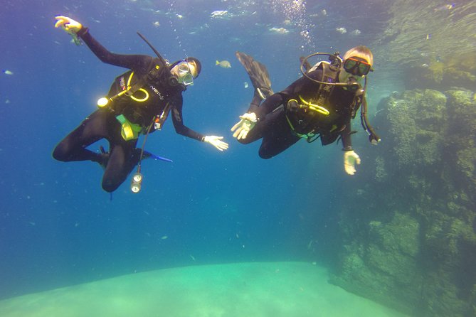 Beginner Scuba Diving in Cabo San Lucas - The first hour: paperwork, equipment, and calm instruction