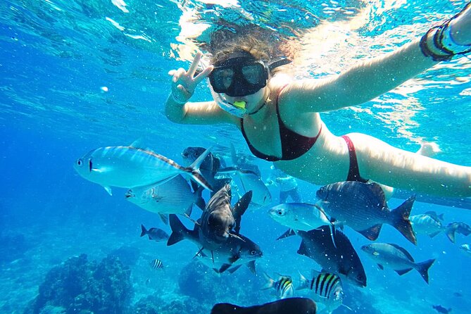 Best Cozumel Day Pass San Francisco Beach Club - Kayaks, paddleboards, and snorkel equipment