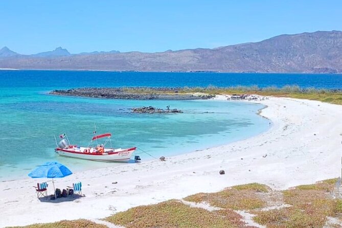 Best Tour to Coronados Island - Key points to know before booking
