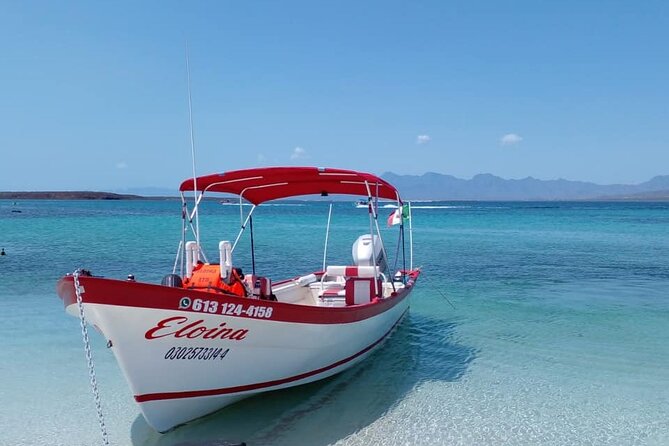 Best Tour to Coronados Island - A four-hour escape from Loreto
