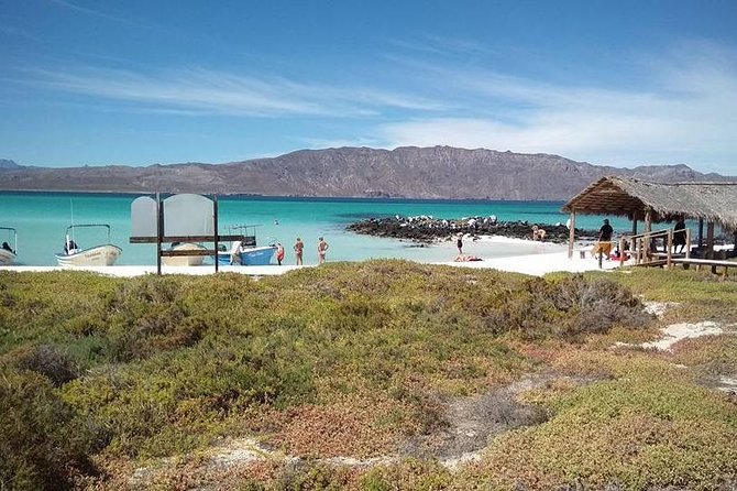 Best Tour to Coronados Island - Lunch, drinks, and the practical comforts