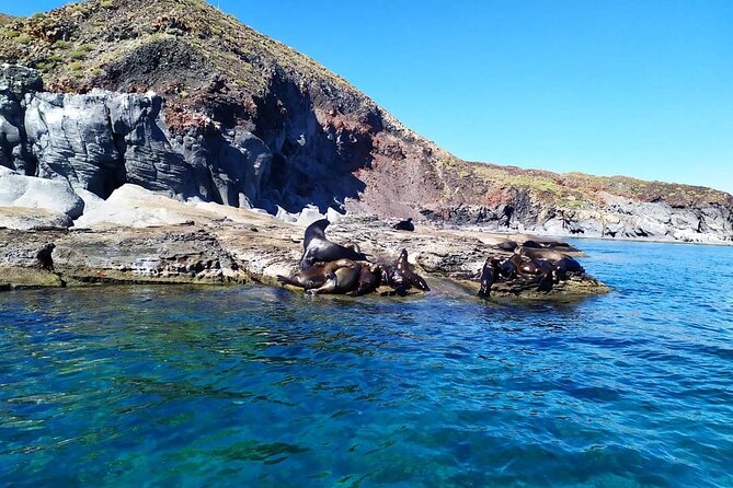 Best Tour to Coronados Island - Is $122.20 a fair price?