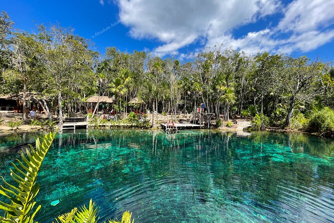 Bestseller! Tulum Private Tour with Turtles and Cenote Snorkeling - A local lunch between water stops
