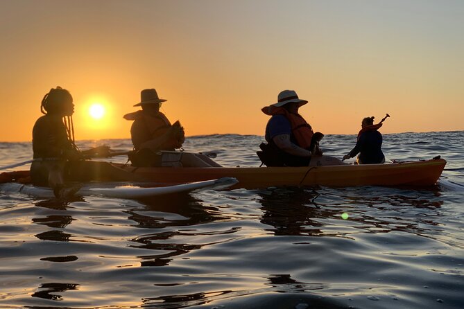 Bioluminescence by kayak or SUP to Los Arcos Puerto Vallarta - Paddling toward Los Arcos